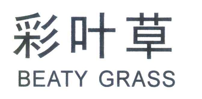 彩叶草;BEATY GRASS