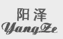 阳泽