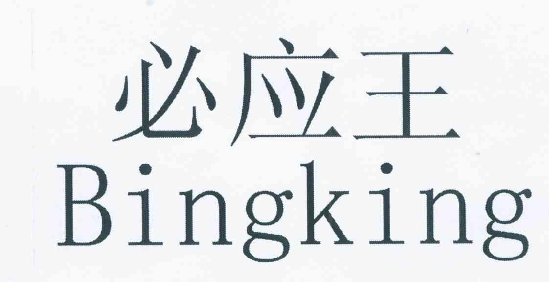 必应王 BINGKING