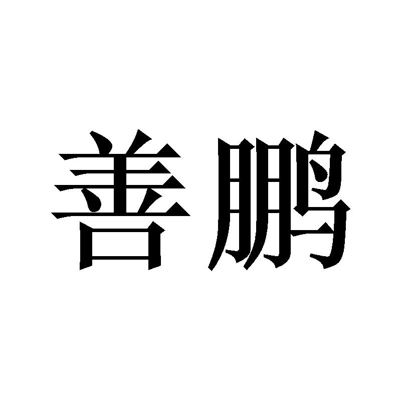 善鹏