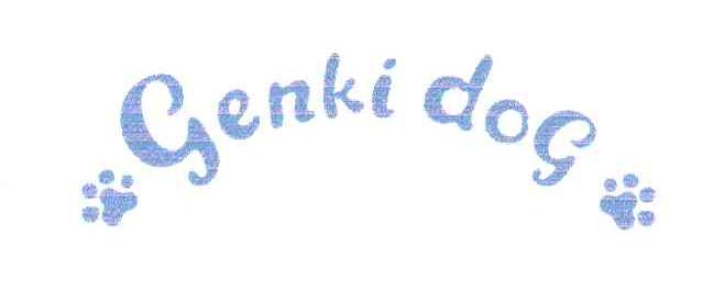 GENKI DOG