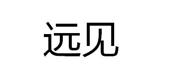 远见