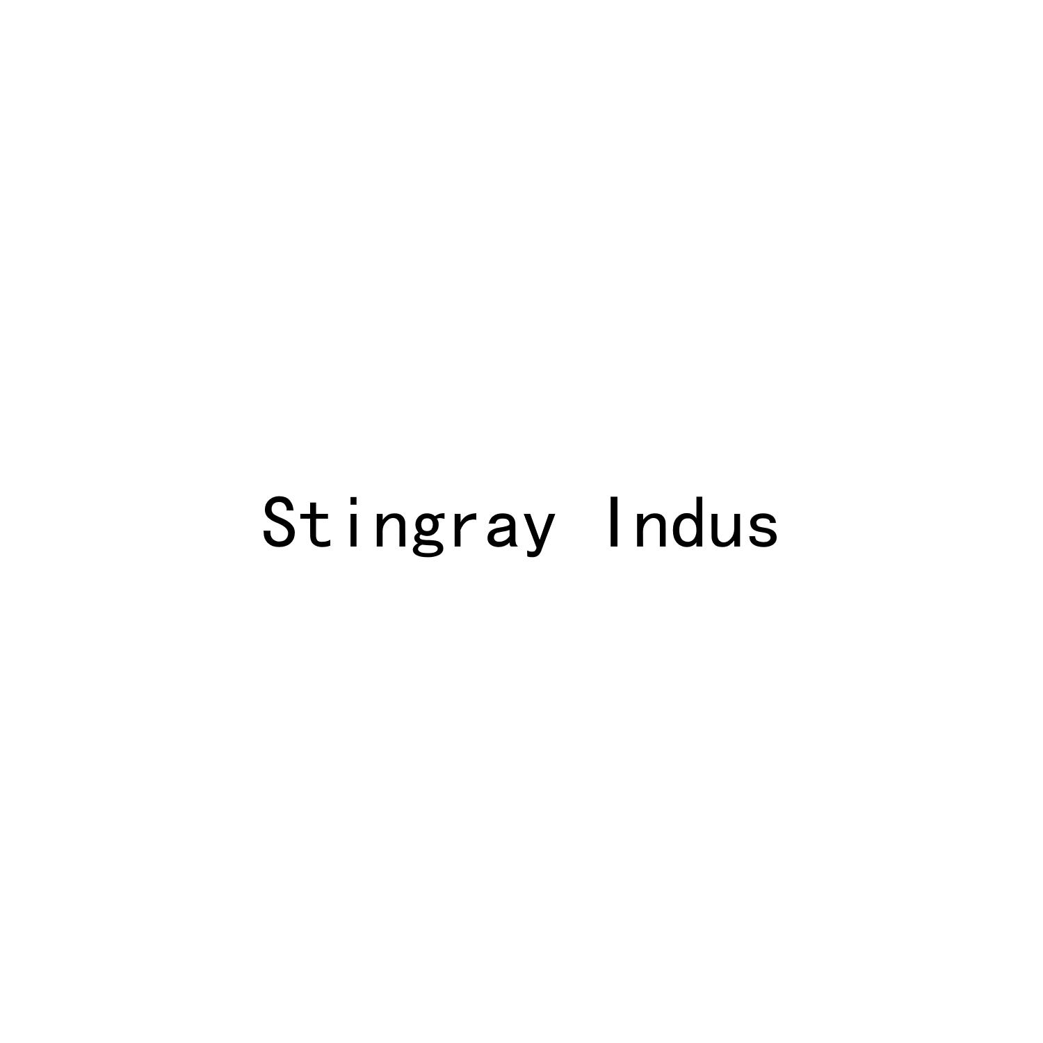 STINGRAY INDUS
