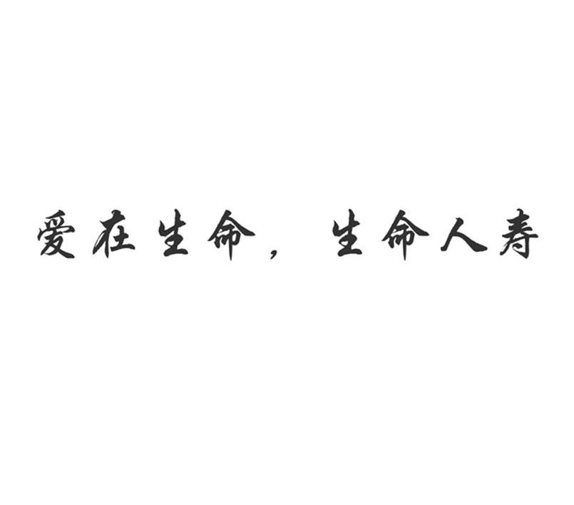 爱在生命，生命人寿