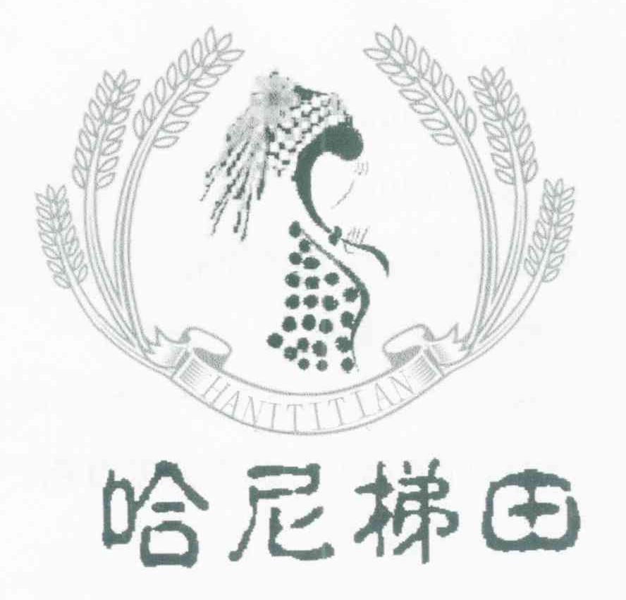 哈尼梯田