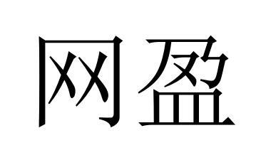 网盈