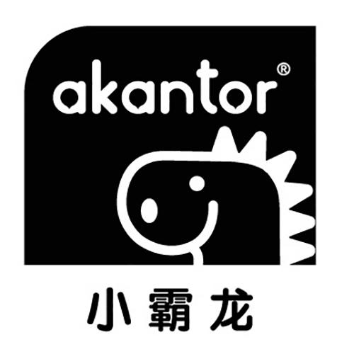 小霸龙 AKANTOR