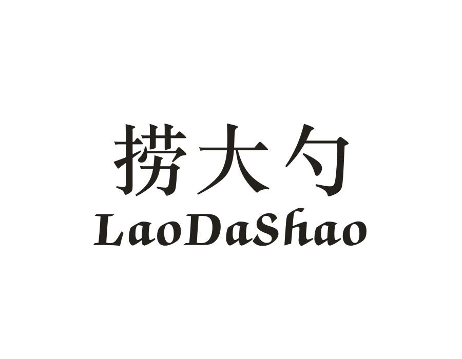 捞大勺