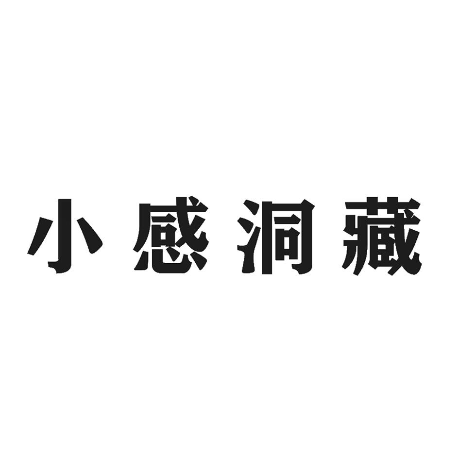 小感洞藏