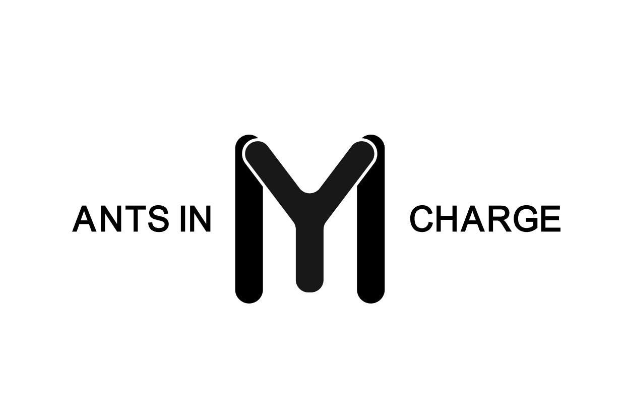 ANTSIN CHARGE