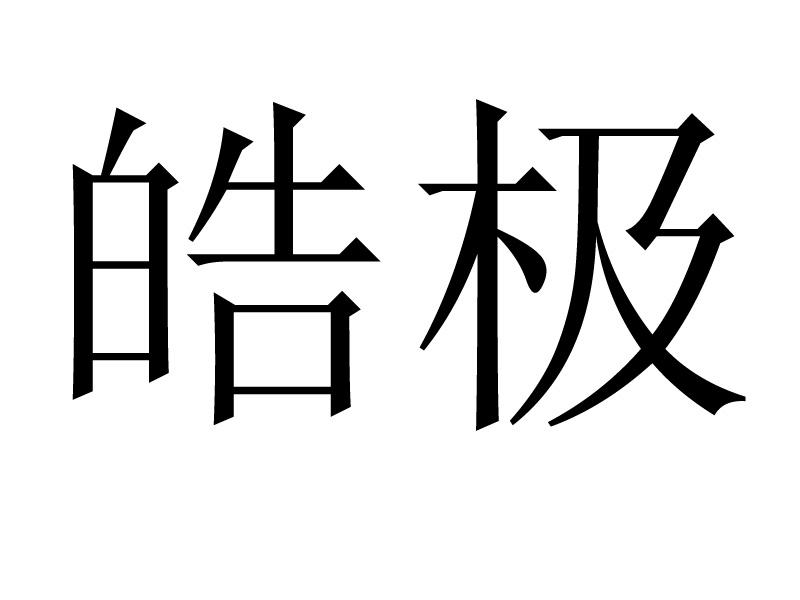 皓极