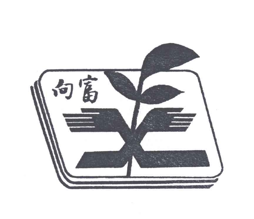 向富