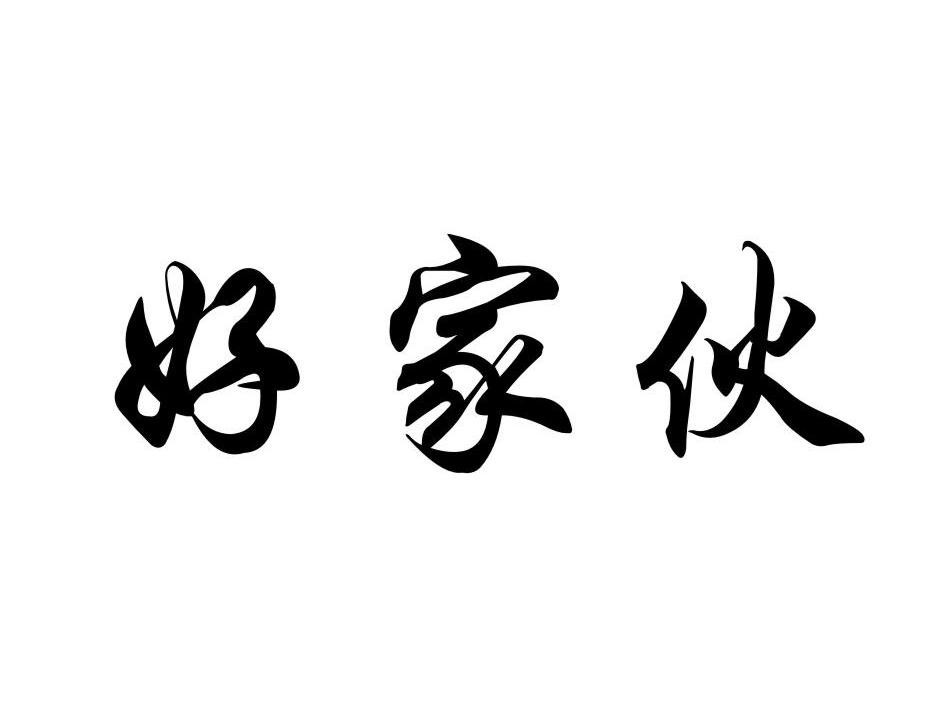 好家伙