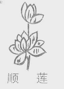 顺莲