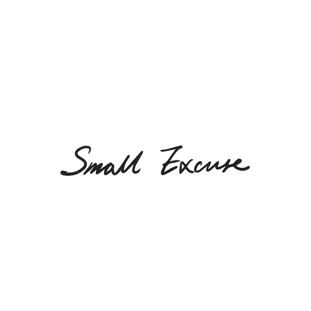 SMALL EXCUSE