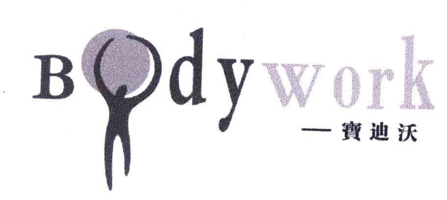 一宝迪沃;BODYWORK