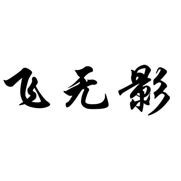飞无影