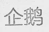 企鹅