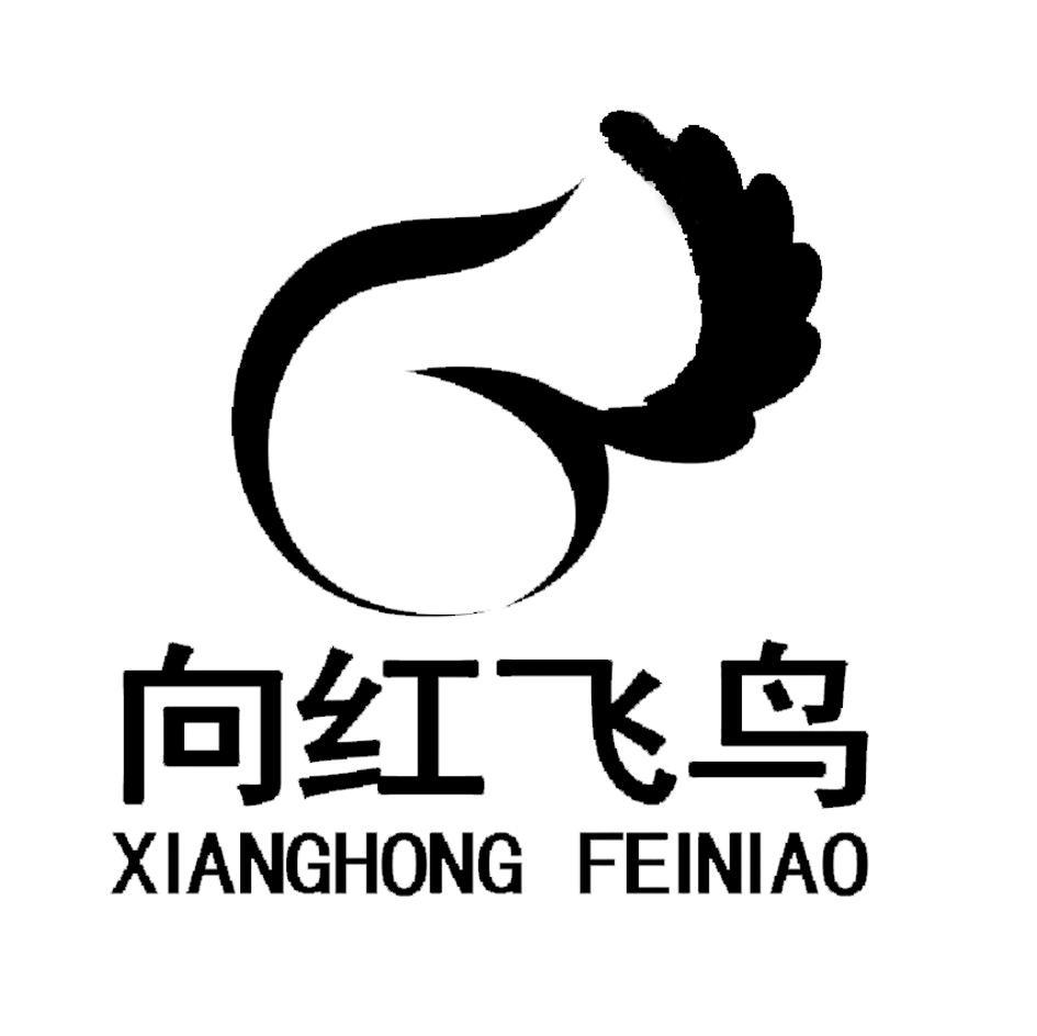向红飞鸟