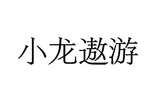 小龙遨游