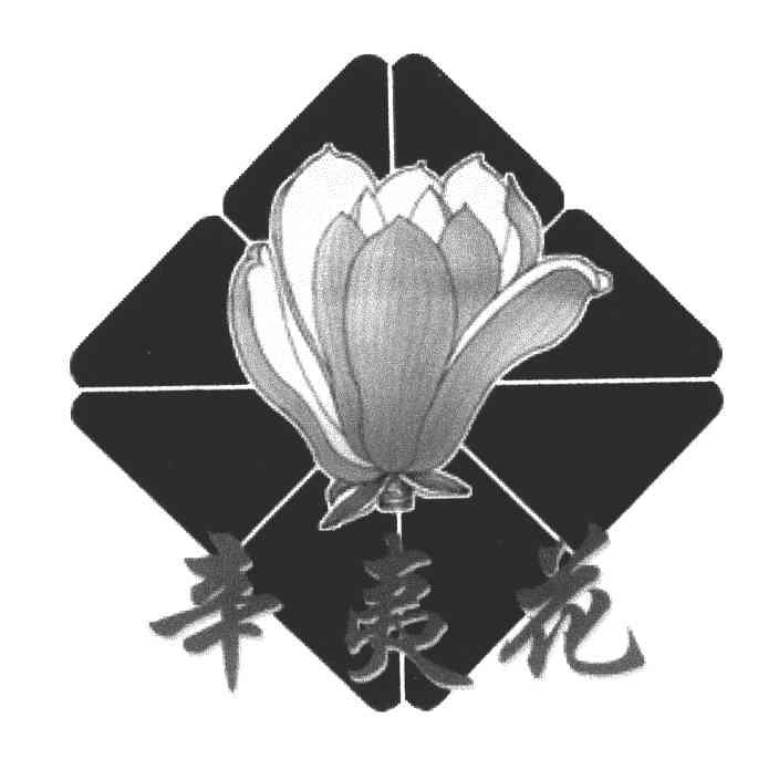 辛夷花