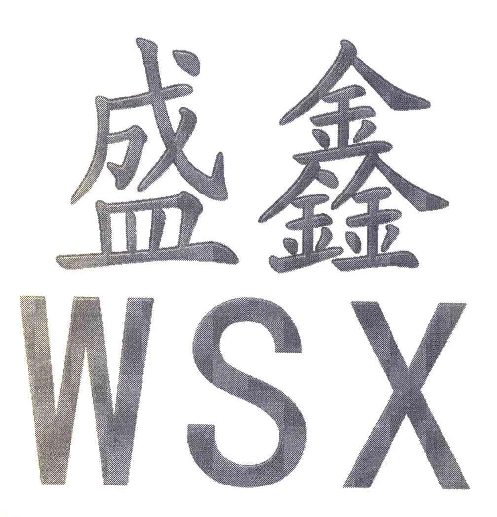 盛鑫 WSX