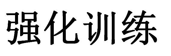 强化训练