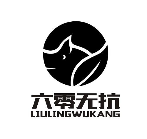六零无抗