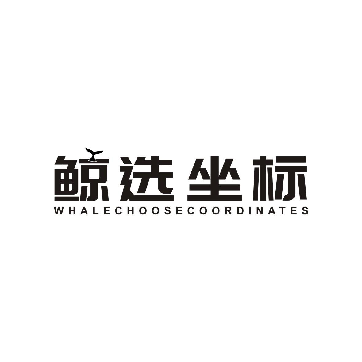 鲸选坐标 WHALECHOOSECOORDINATES