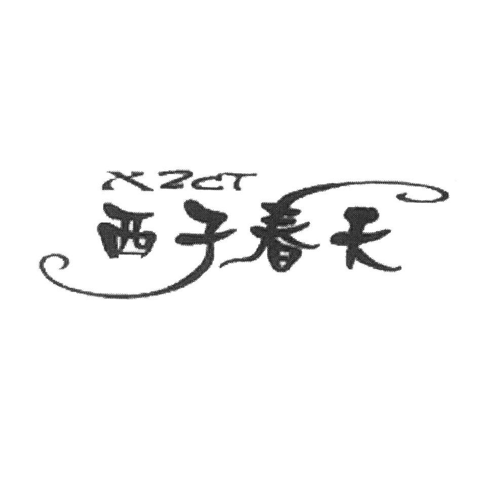 西子春天XZCT
