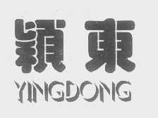 颖东
