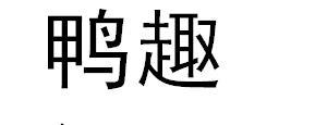 鸭趣