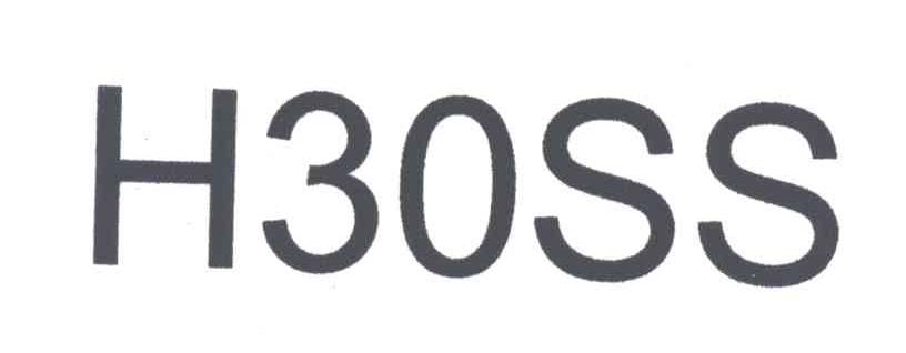 H30SS