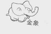 金象