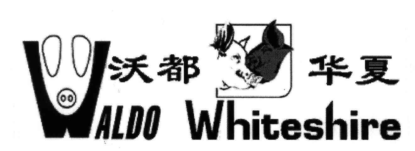 沃都华夏;WALDO WHITESHIRE;W