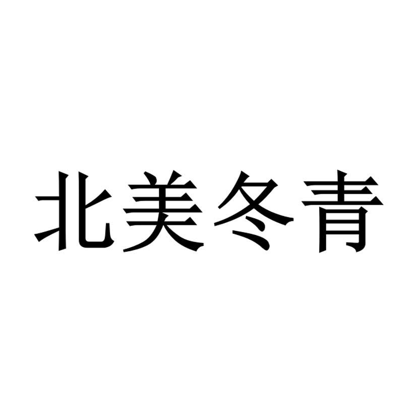 北美冬青