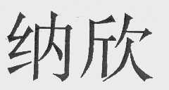 纳欣