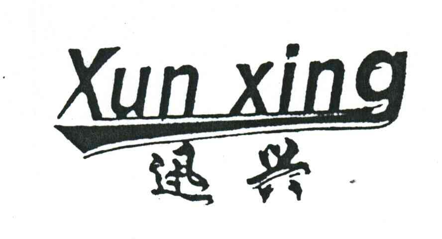 迅兴 XUN XING