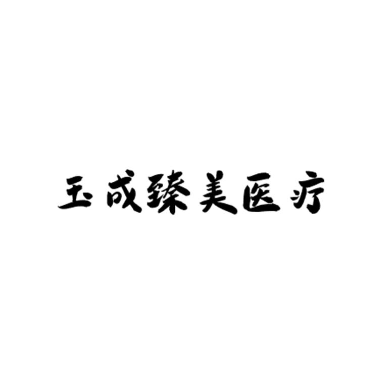 玉成臻美医疗