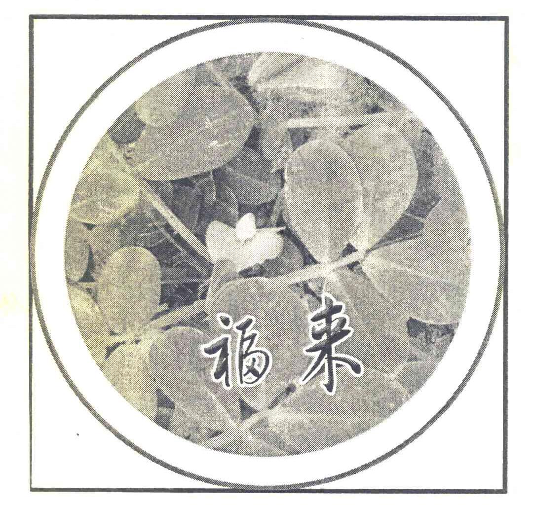 福来