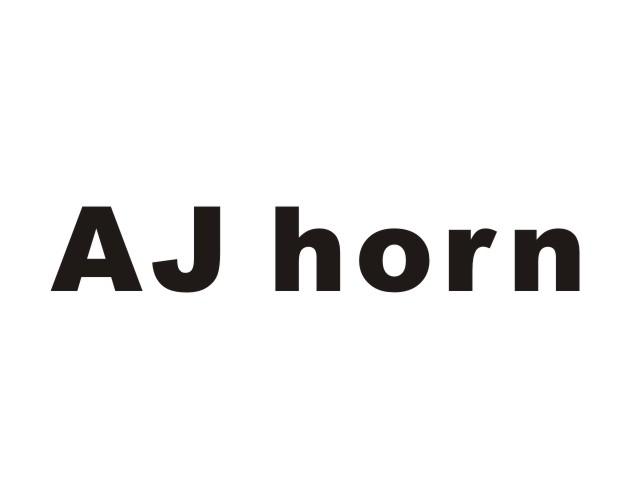 AJ HORN