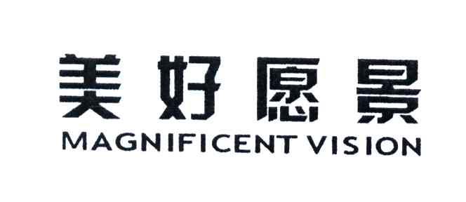 美好愿景;MAGNIFICENT VISION