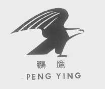 鹏鹰