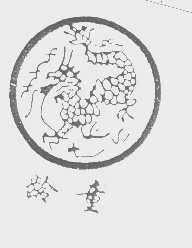 龄童
