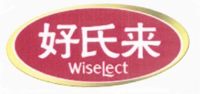 好氏来 WISELECT