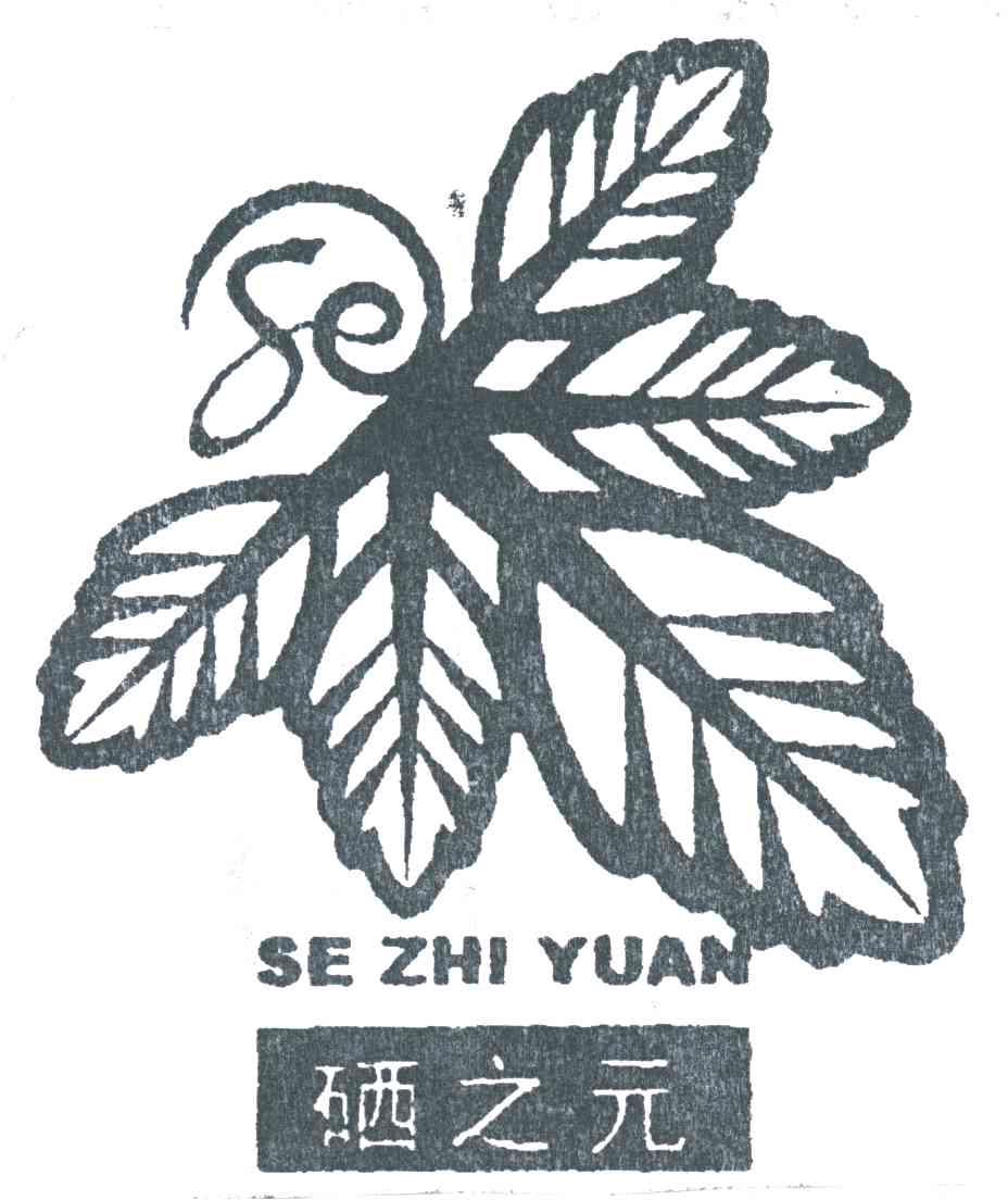 硒之元