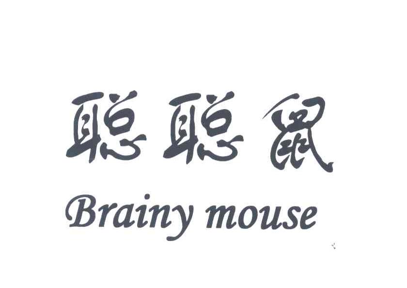 聪聪鼠;BRAINYMOUSE