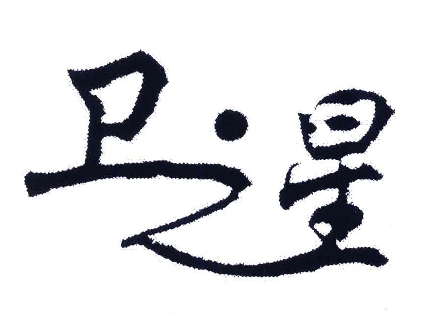 卫之星