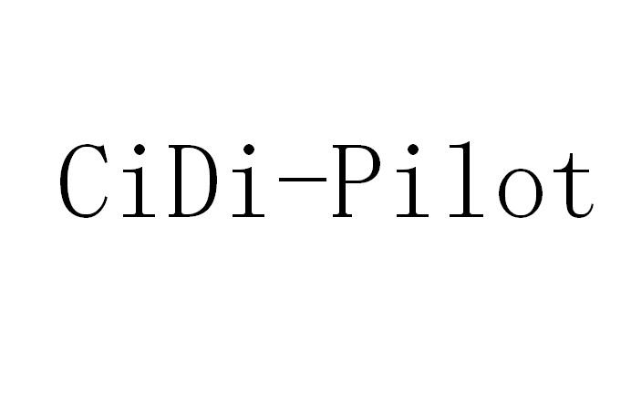 CIDI-PILOT