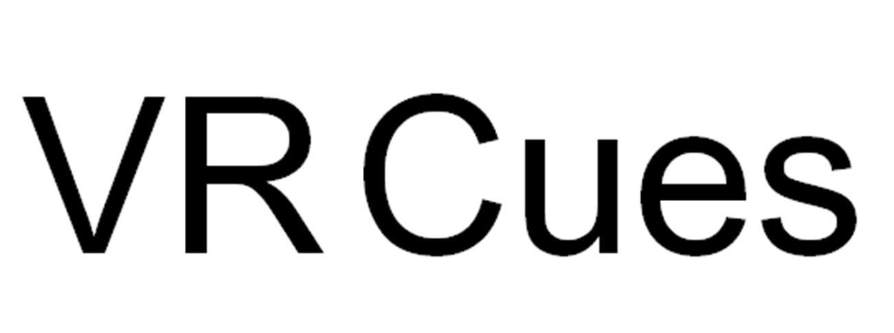 VR CUES
